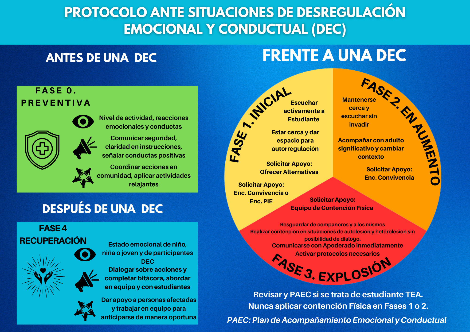 PROTOCOLO DEC